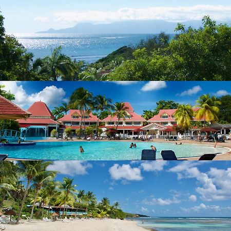Studio Olia A P&V - Plages, Piscines Et Vue Mer! Sainte-Anne  Bagian luar foto